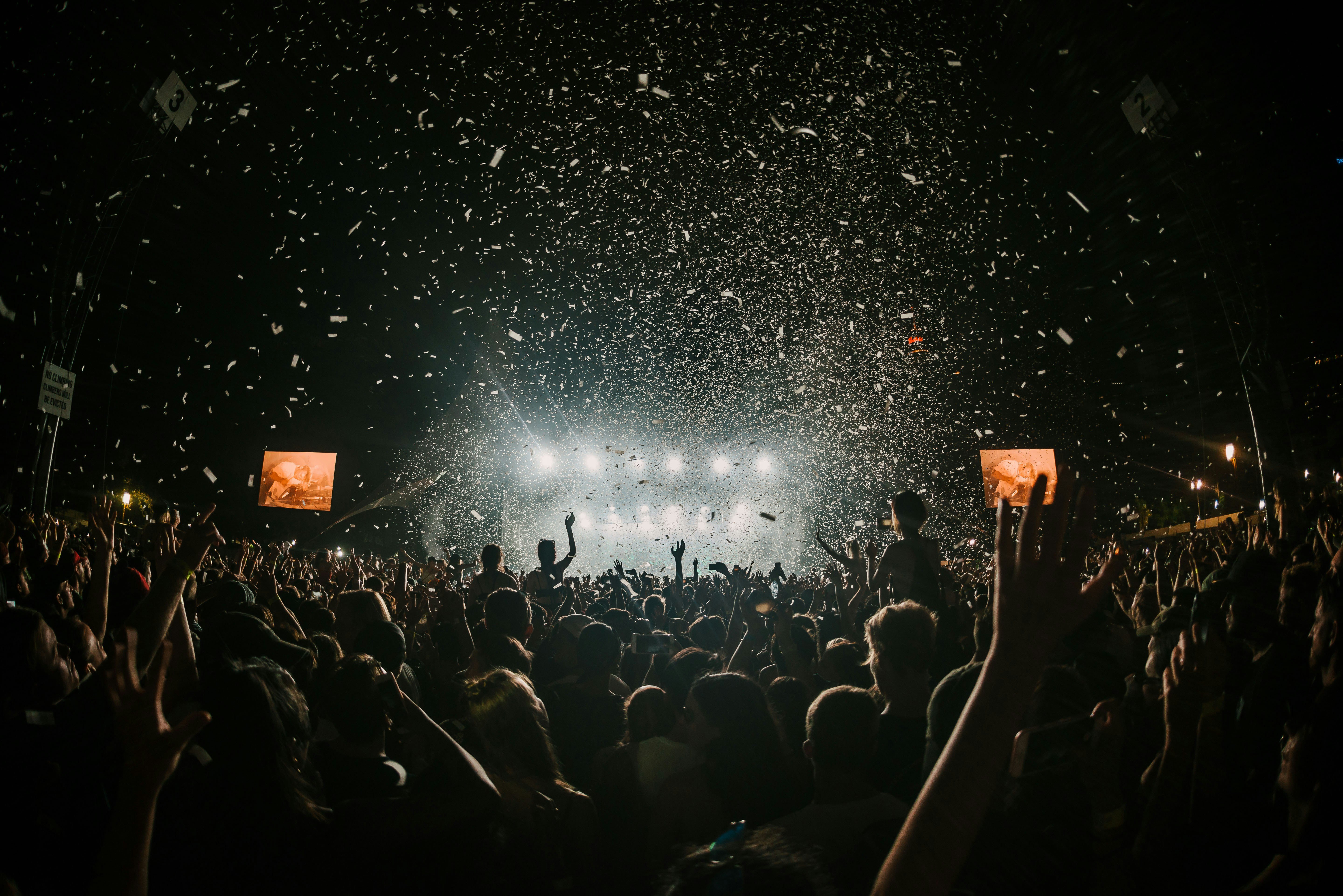 Crowd at Concert